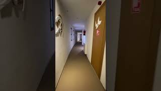 Жизнь не всегда идет по прямой дороге… #отношения #жизнь #взаимодействие #личность #личность