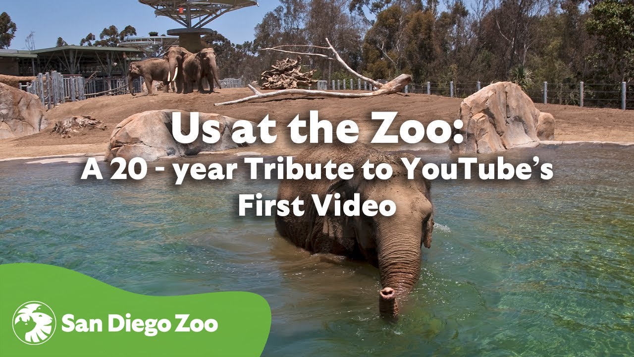 Us at the Zoo: A 20-year tribute to YouTube’s First Video