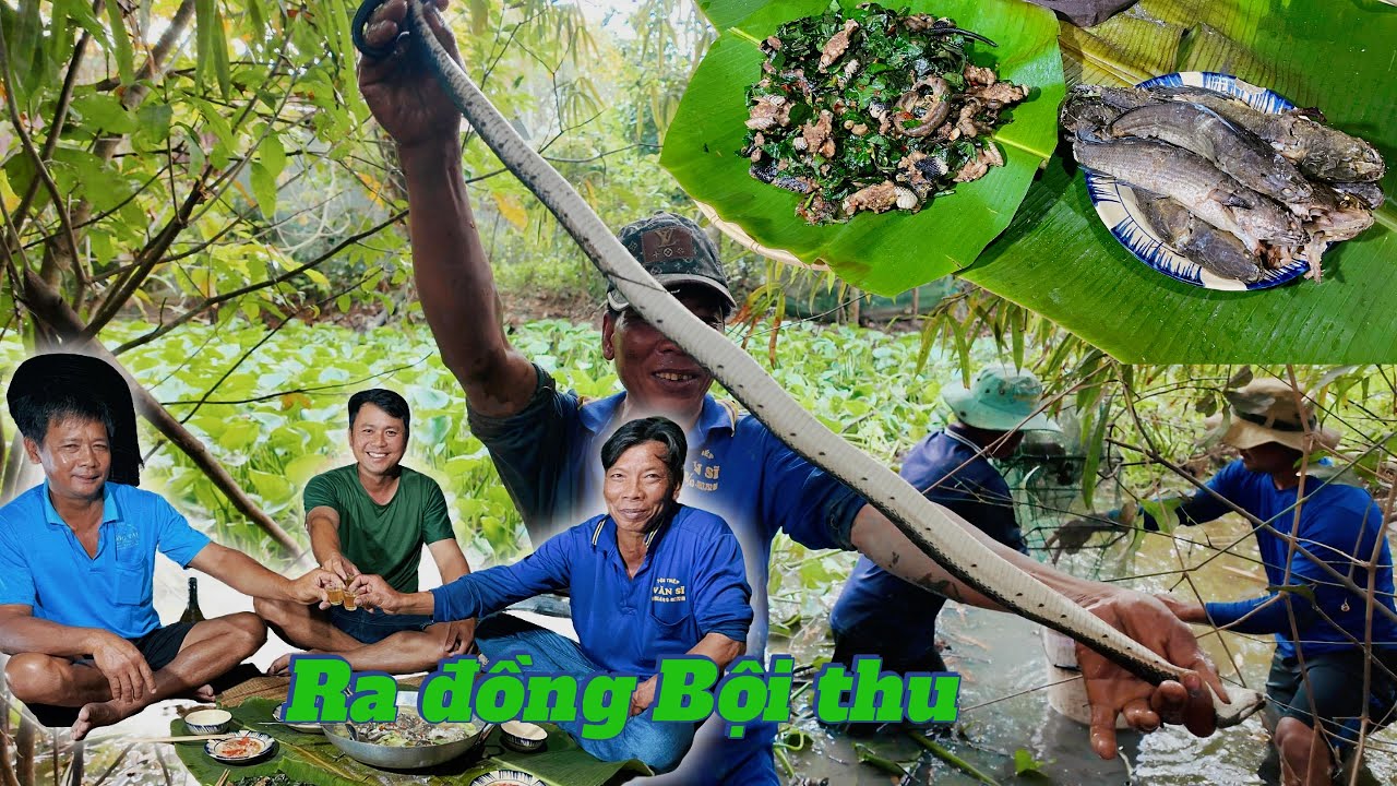 Anh 2 sợ Rắn mà gặp hoài , mò hang B.ắt cá khi đồng sạ lúa - Tập 38  | Út Phiêu Lưu