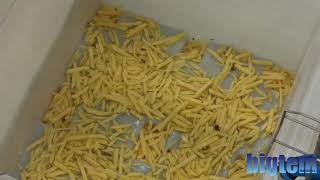 2020 Frozen French Fries Production and Packing Line