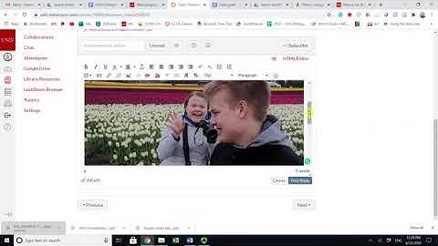 Embedding images in Canvas discussions