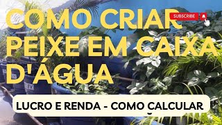 Agência ALESC  Cultivo de peixes pode dar lucro de R$ 1 por kg produzido