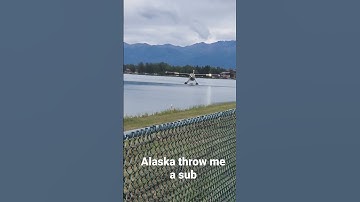 #shorts #trending #alaska #shortvideo #plane #float #ocean