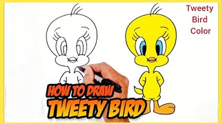 How to draw Tweety Bird | Beginner Drawing Tutorial Step By Step | Tweety Bird Colour Drawing Step How to draw Tweety Bird | Beginner Drawing Tutorial Step By Step | Tweety Bird Colour Drawing Step