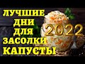 КОГДА СОЛИТЬ КАПУСТУ, чтобы была вкусной? Лучшие даты 2022 по лунному календарю для засолки капусты