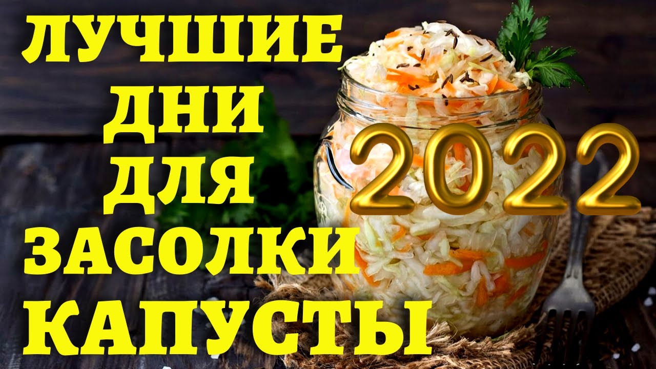 Засолка капусты февраль 2024 года. Когда лучше солить капусту. Календарь для засолки капусты. Голова Садовая 2022 соление капусты хорошие дни ноябрь. Когда солить капусту в марте.