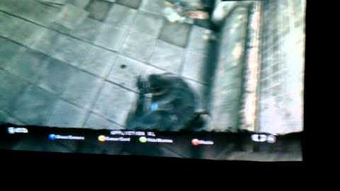 Leet hacker pro status