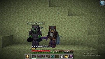 The Best Lifesteal Server With MultiProxy