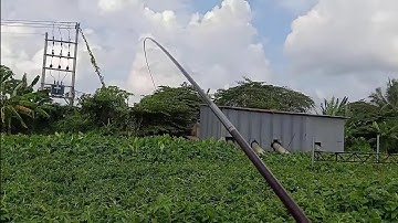 Trúng ổ cá Chép sông tiền - Một lỗ câu hoài không hết cá | Câu cá ổ T218