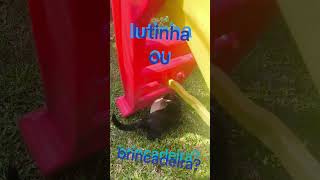 Lutinha De Irmãos Pra Qual Vc Torce?