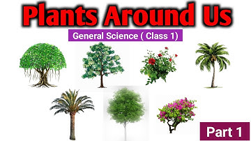 Plants Around Us | Science | Class 1 | Full explanation | Part 1