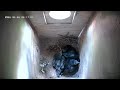 Watch 3 Jackdaw Chicks Grow in Real-Time | Sweden Nest Cam LIVE