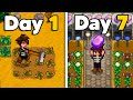 Stardew valley but i only have seven ingame days
