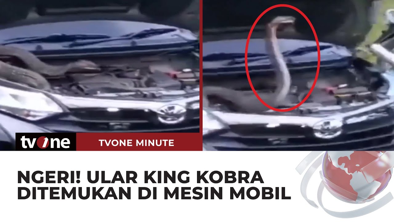 Dostona jinsiy aloqa bilan filmlar Kremli squirt porno