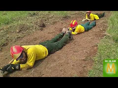 Bomberos se capacitaron sobre control de incendios forestales