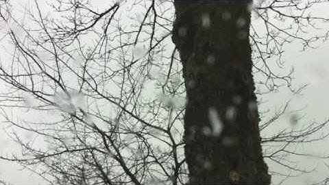 Lento Tranquillo - part 3 from String quartet no 1