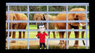 Me At The Zoo William Mcauliffe 2002 Productions Style