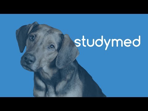 studymed: Dein Begleiter auf dem Weg zum Medizinstudium