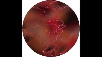 Ficilio - Fluid Form