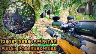 Download Lagu Berburu Ruak-Ruak Dengan FX Crown Lokal Full Upgrade || Spot Ruak-Ruak Anti Zonk MP3 Download Lagu Berburu Ruak-Ruak Dengan FX Crown Lokal Full Upgrade || Spot Ruak-Ruak Anti Zonk MP3