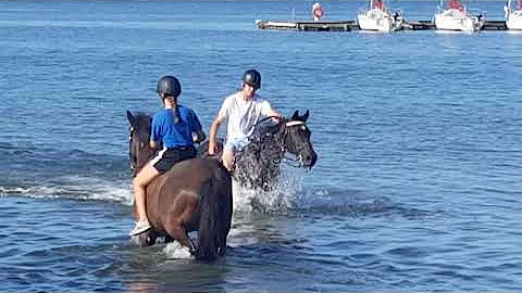 culver summer erika 2019
