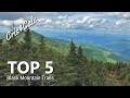 Top 5 Black Mountain Trails | North Carolina | Most Aggressive, Challenging Hikes | Mount Mitchell