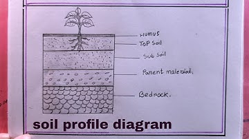 how to draw layers of  of soil/soil profile diagram drawing