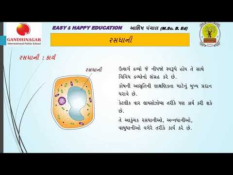 રસધાની અને કણાભસૂત્ર || STD 11 || CH 8 કોષ જીવનનો એકમ || BIOLOGY