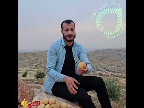 ثمره الحنظل