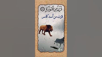 سورة المدثر٥٠-٥١ الحذيفي #اكسبلور #quran #القرآن_الكريم #explore #لايك #تيك_توك