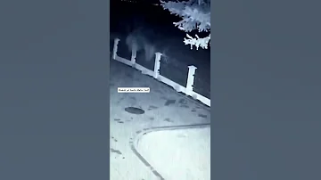 أشياء غريبة ومخيفة تم تصويرها 