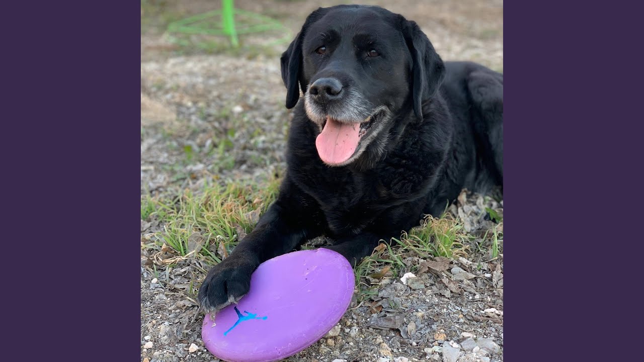 Guarda Tinder Dates su YouTube Guarda Tinder Dates su YouTube