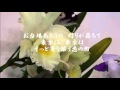 忘れるもんか 山本譲二&城之内早苗 iroemon&amp;chiyoti