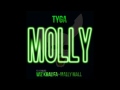 Tyga - Molly  Feat. Wiz Khalifa & Mally Mall + download