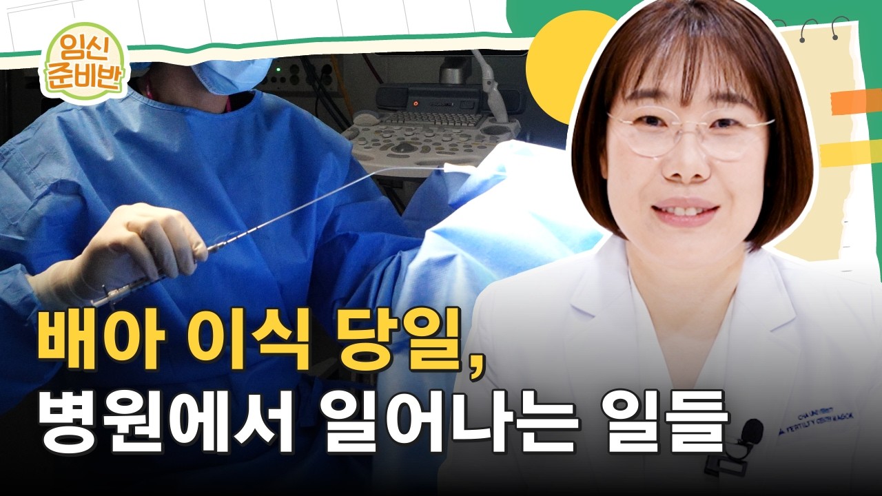 배아 이식 당일, 병원에서 일어나는 일들 (착붙기원)