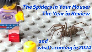 The Spiders in Your House - What's Coming in 2024