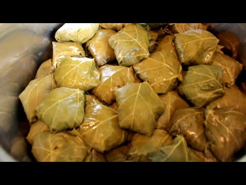 ДОЛМА из свежих листьев винограда✵Азербайджанская Кухня✵Dolma, these are Azerbaijani dishes