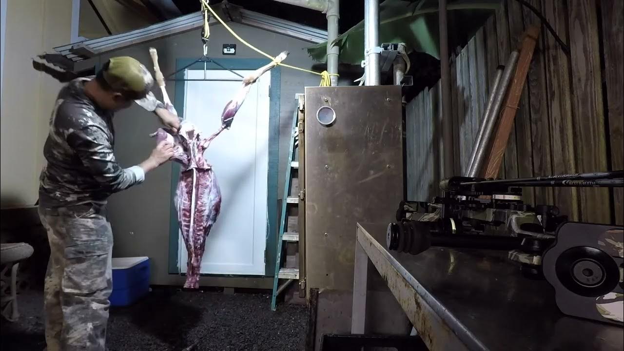 DeBoning a Lanai Axis Deer in Timelapse YouTube