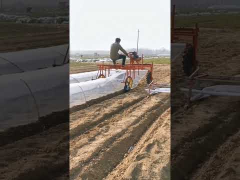 Tünel sera nasıl