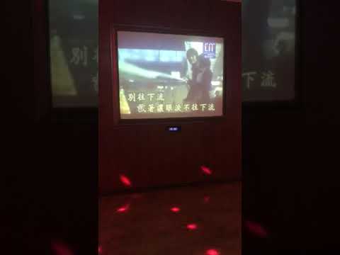 張韶涵-真的。