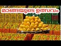 Mango fest | lulu hypermarket | safus bright