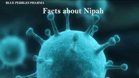 Nipah virus