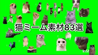 猫ミーム素材83選#猫ミーム#猫ミーム素材