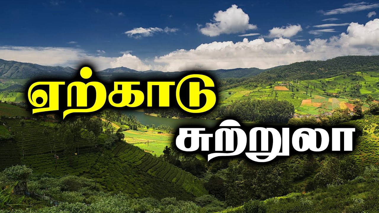 yercaud tourist places in tamil | yercaud hotels | tamil vlogs