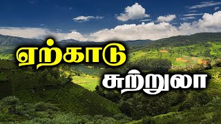 yercaud tourist places in tamil |  yercaud hotels |  tamil vlogs |  tamilnadu tourism