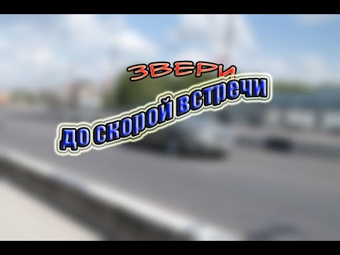 Звери "ДО СКОРОЙ ВСТРЕЧИ" (текст песни, слова)