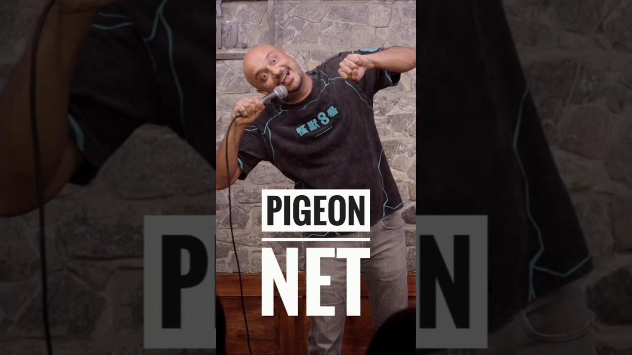 Pigeon Net | #shorts