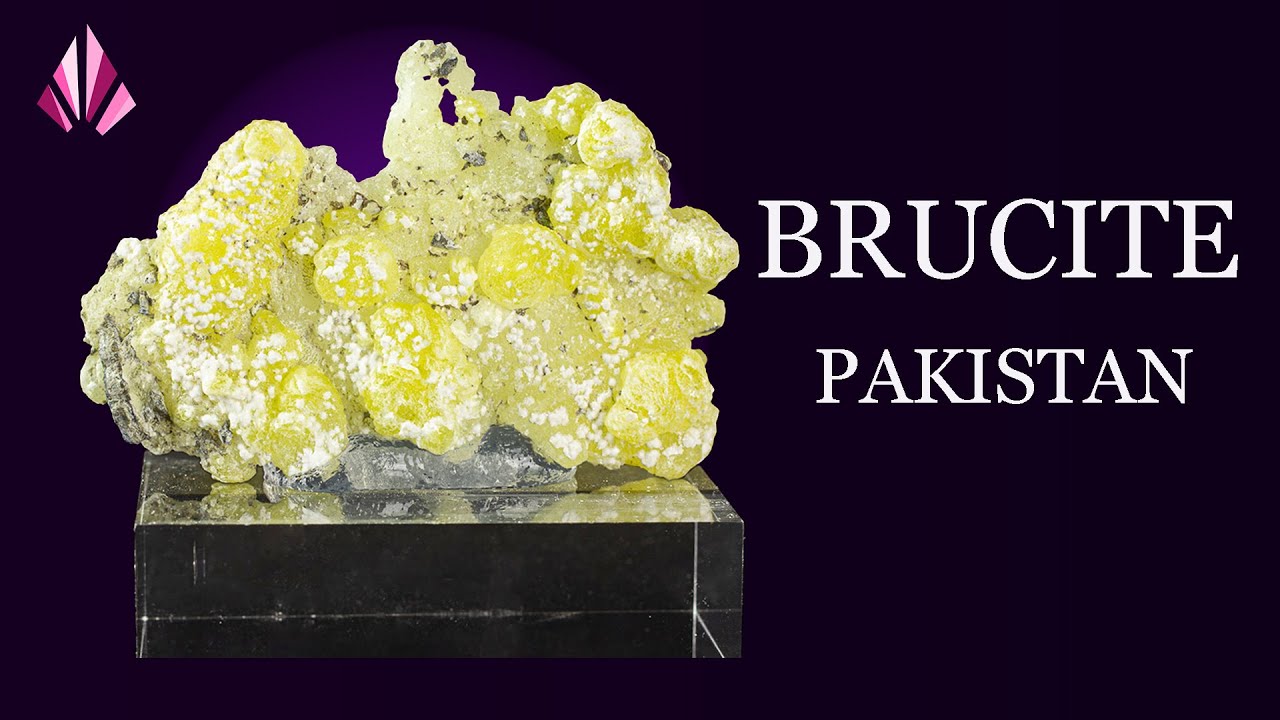 𝗕𝗿𝘂𝗰𝗶𝘁𝗲 𝗷𝗮𝘂𝗻𝗲 𝗱𝘂 𝗣𝗮𝗸𝗶𝘀𝘁𝗮𝗻 issue d'une ancienne collection année 2009  🇵🇰