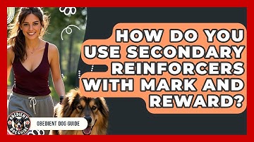 How Do You Use Secondary Reinforcers With Mark And Reward? - Obedient Dog Guide